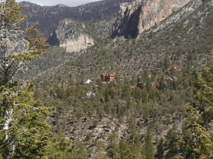 A picture of a few homes in the center of wildland. 